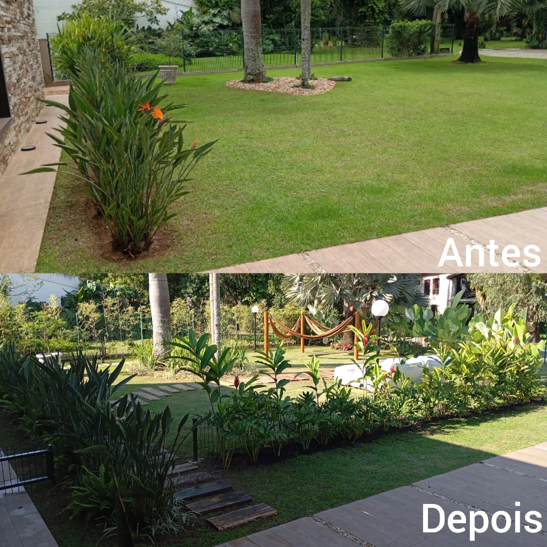 Antes e depois de paisagismo em jardim amplo com plantas ornamentais